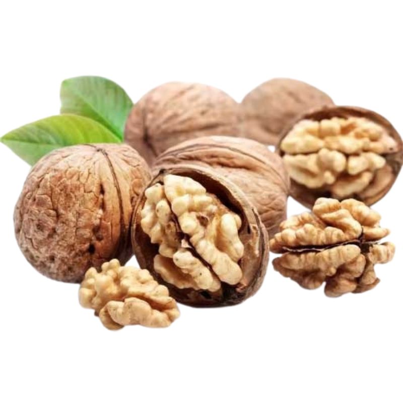 گردو با پوست کاغذی درجه یک وسفید